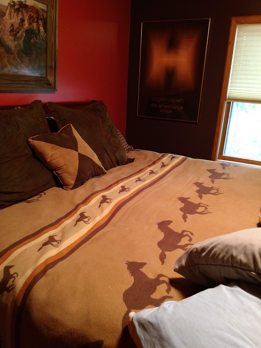 Bearcat Mountain Lodge photo 2