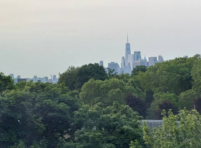 Holiday Inn Express Nyc Brooklyn - Sunset Park by IHG photo 3