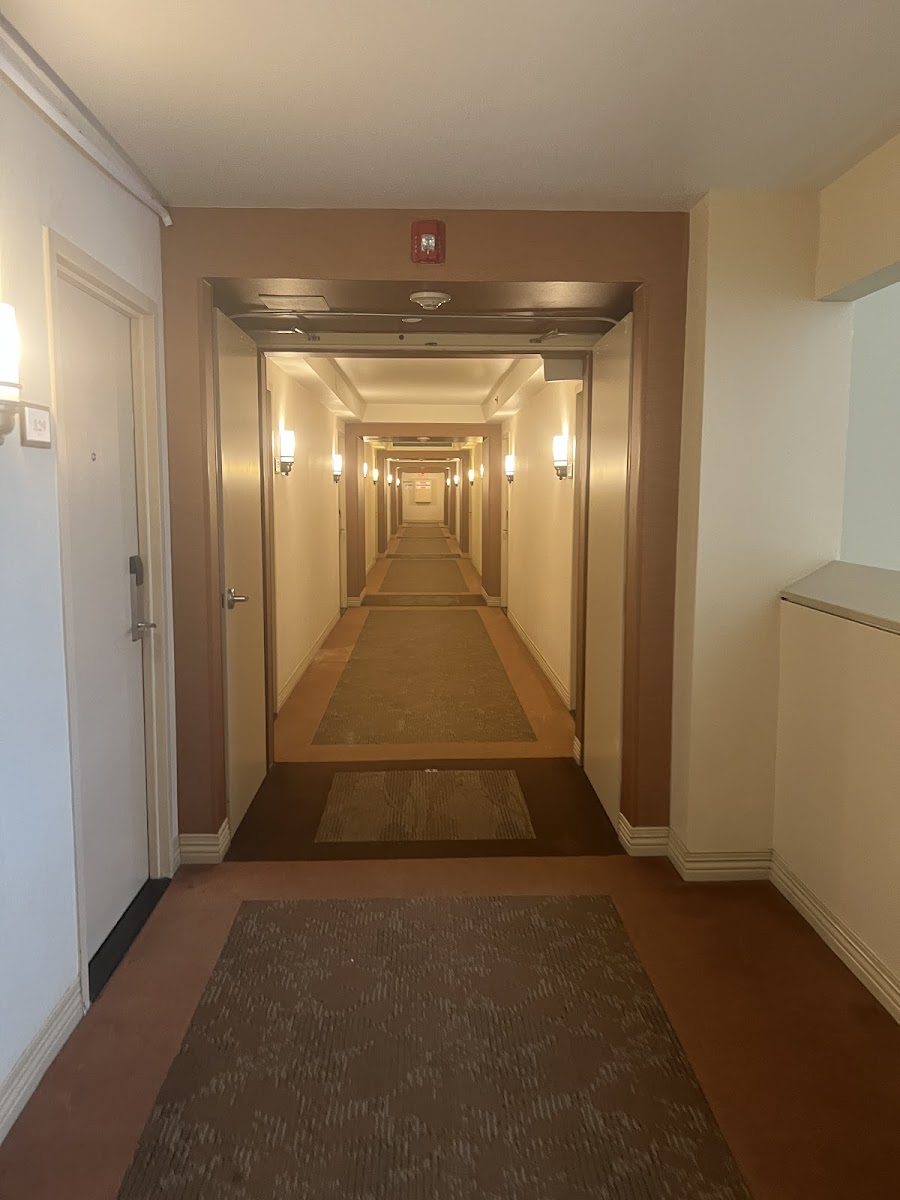 Sheraton Houston Brookhollow Hotel photo 3