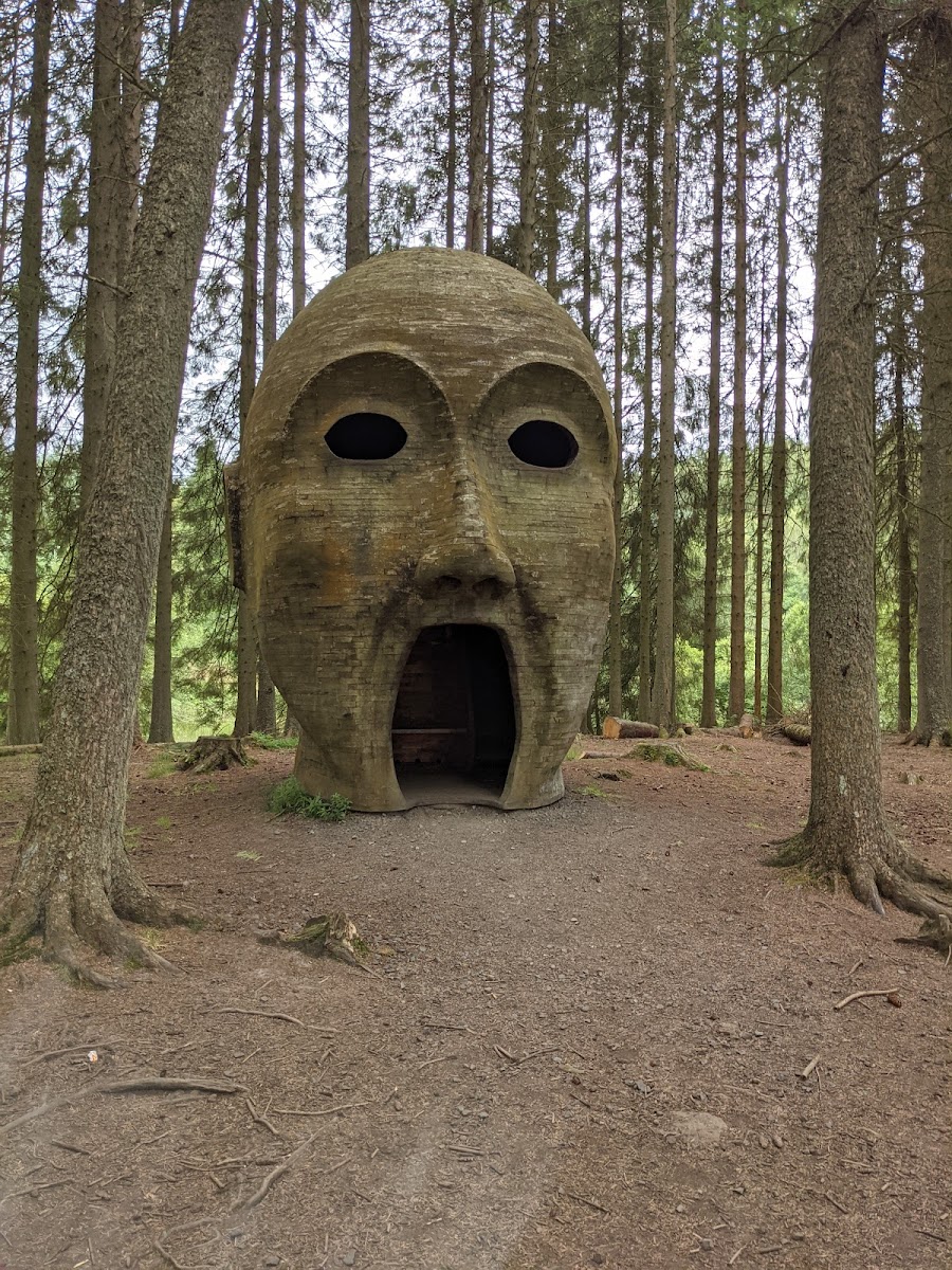 Kielder Forest