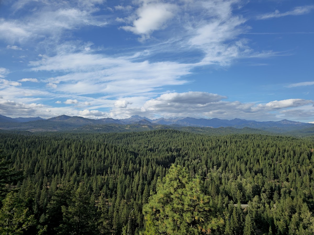 Teanaway Community Forest