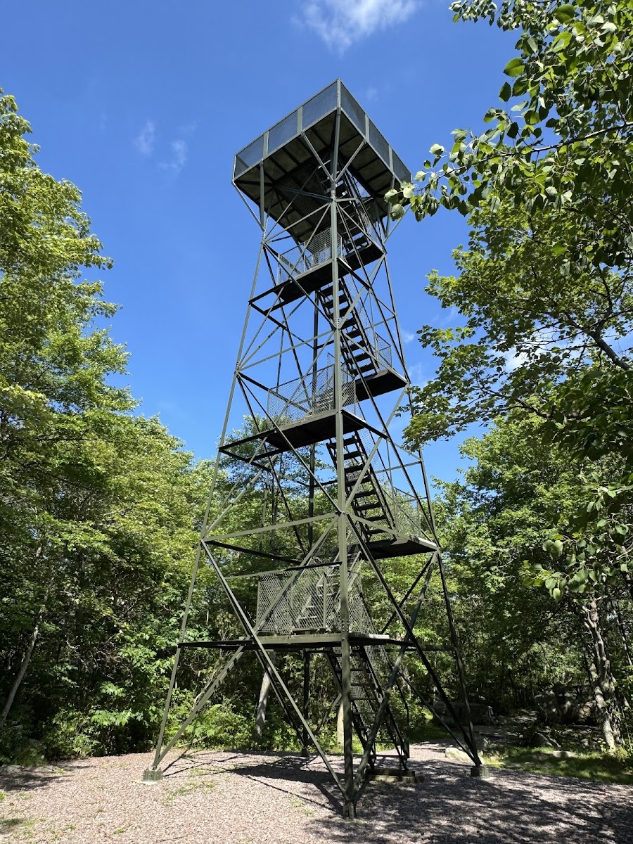 Mt Davis