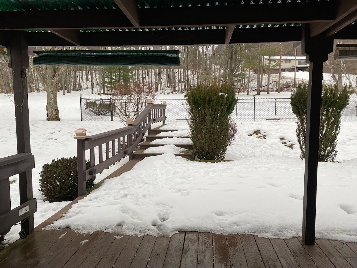 Bennetts Valley Elk Country Inn photo 3
