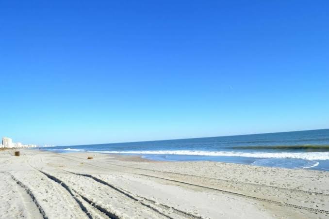 Ocean Towers Beach Club photo 3