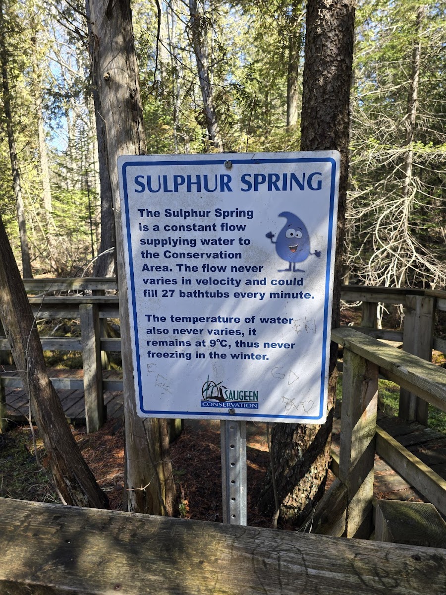 Sulphur Spring Conservation Area