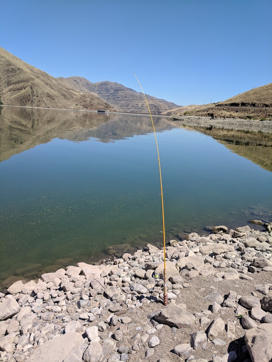 Brownlee Dam