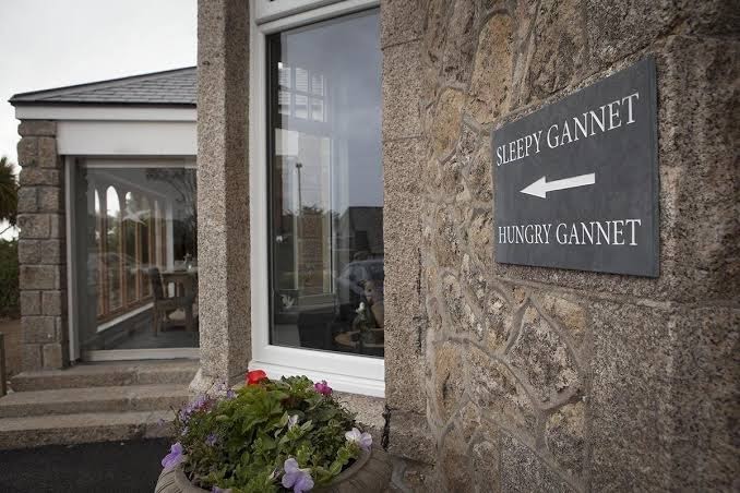 The Gannet