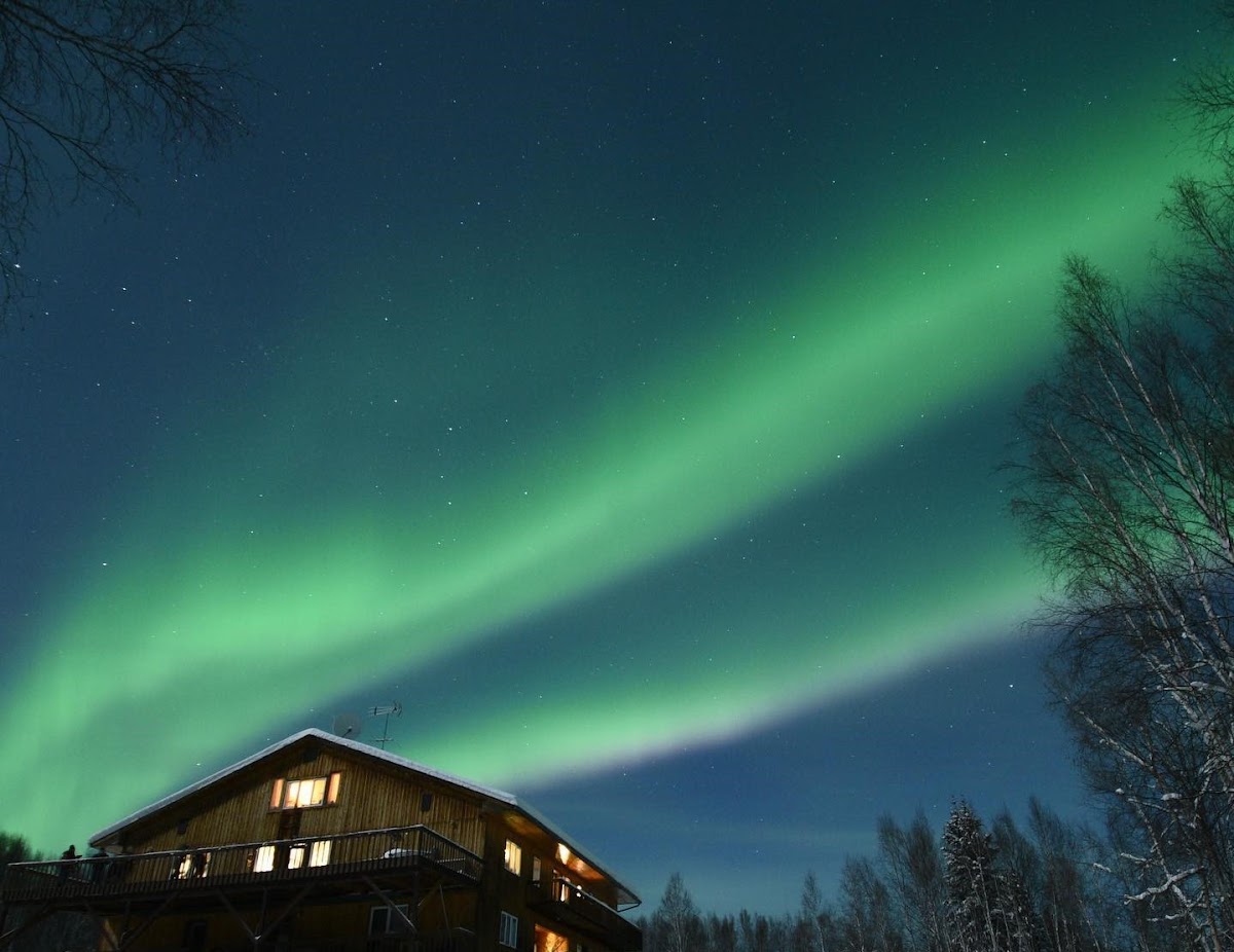 Alaska Grizzly Lodge photo 3