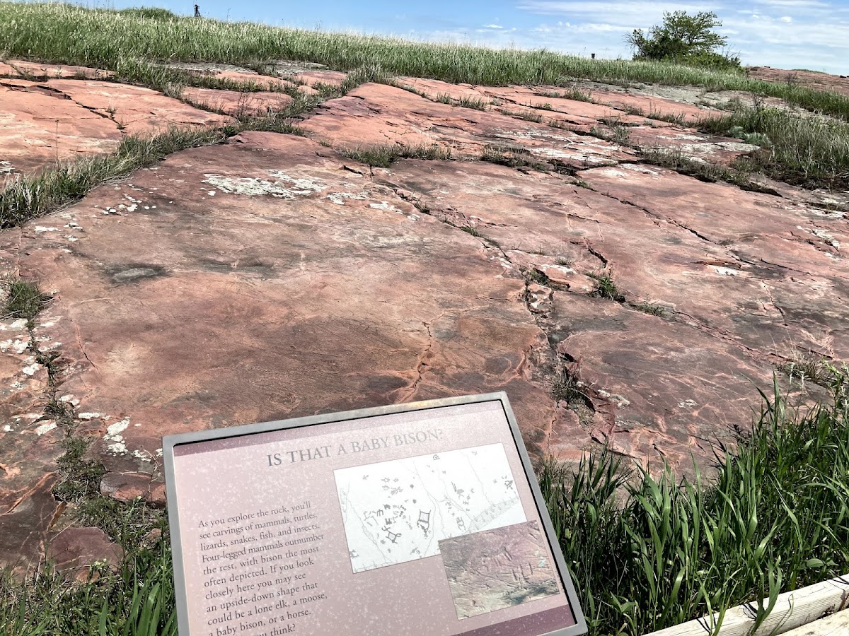 Jeffers Petroglyphs