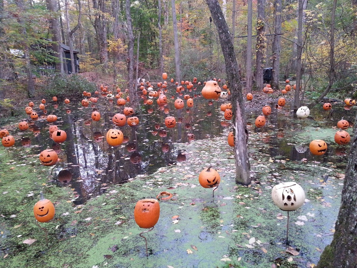 Lorain County Metro Parks