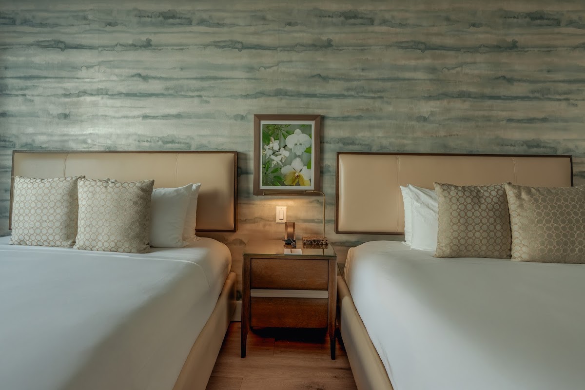 Iberostar Waves Miami Beach photo 3