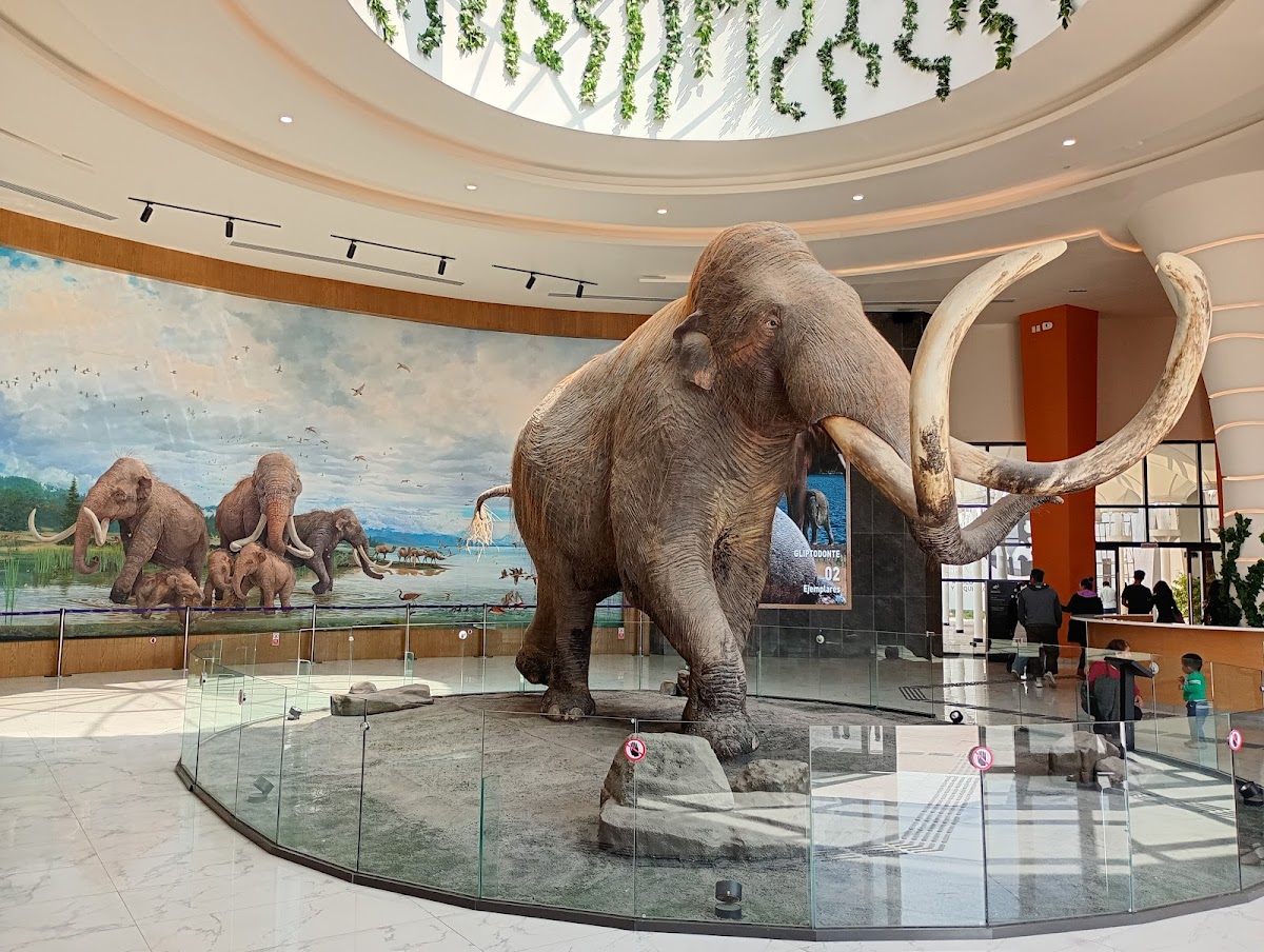 Museo del Mamut