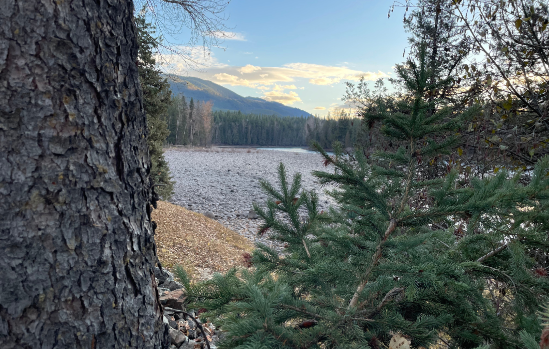 Stay Clearwater | River's Edge Retreat photo 3