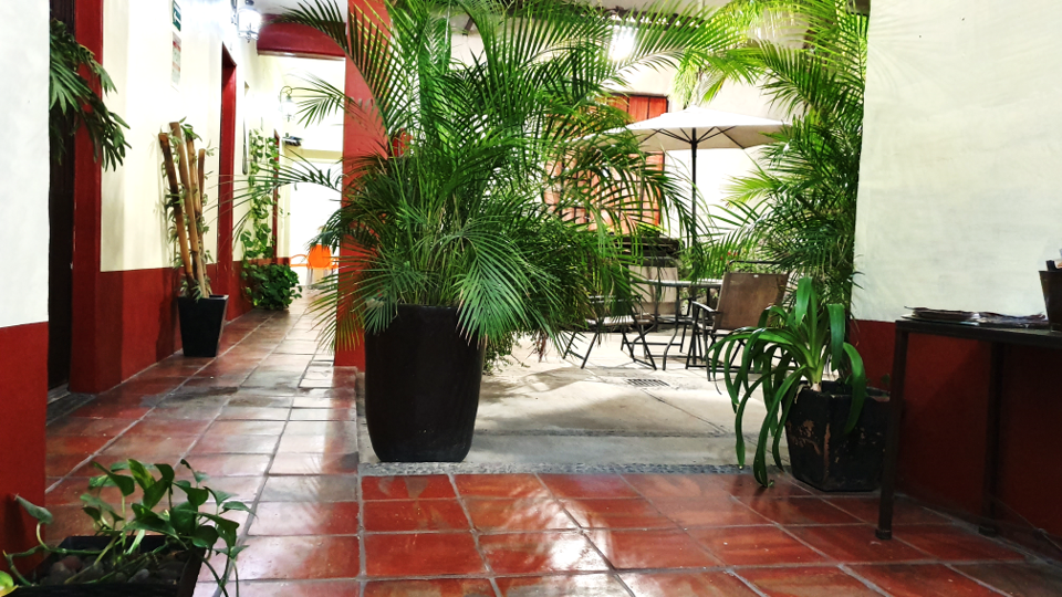 Hotel Posada Punto Guadalajara photo 3