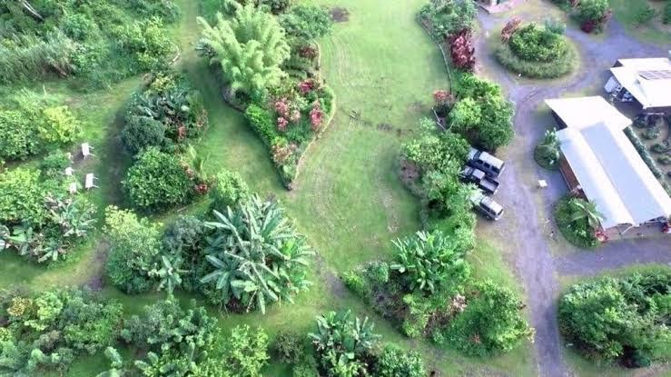 Hawaiian Sanctuary Retreat Center photo 3