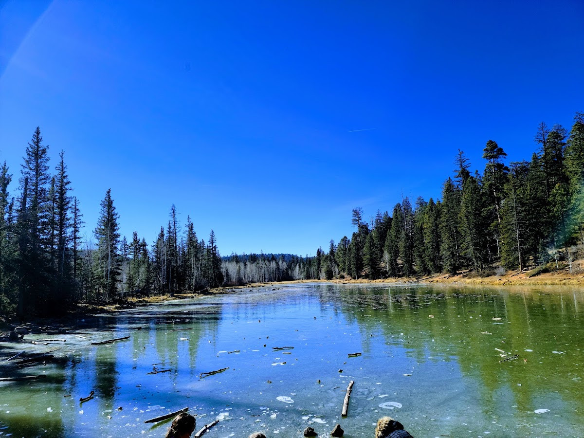 Aspen-Mirror Lake