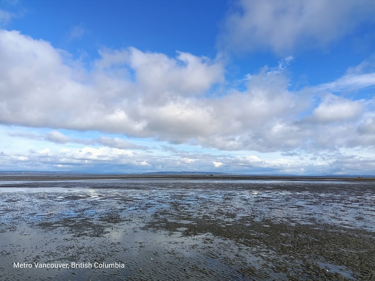 Boundary Bay Regional Park