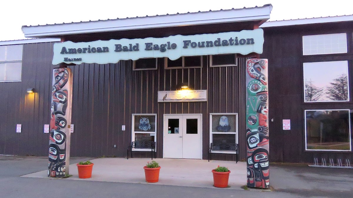 American Bald Eagle Foundation