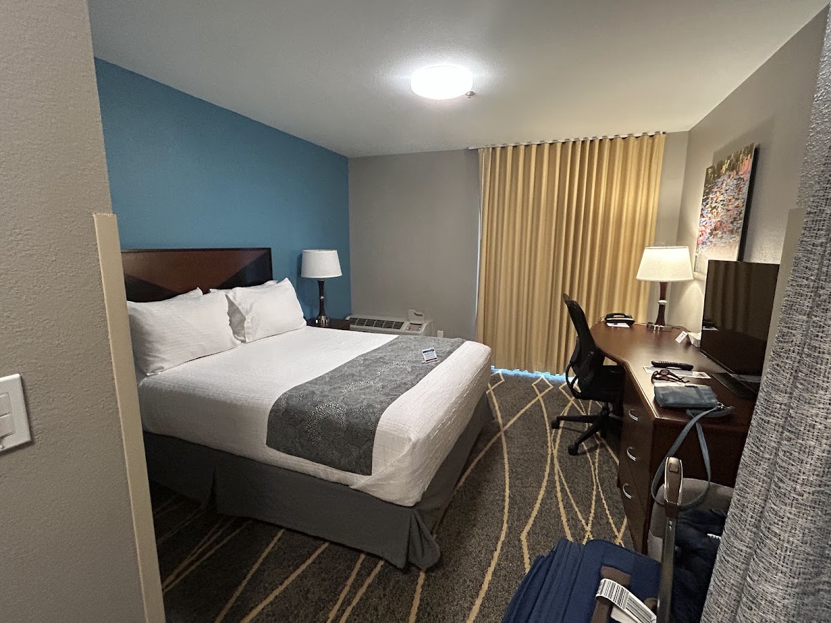 Belltown Inn photo 2