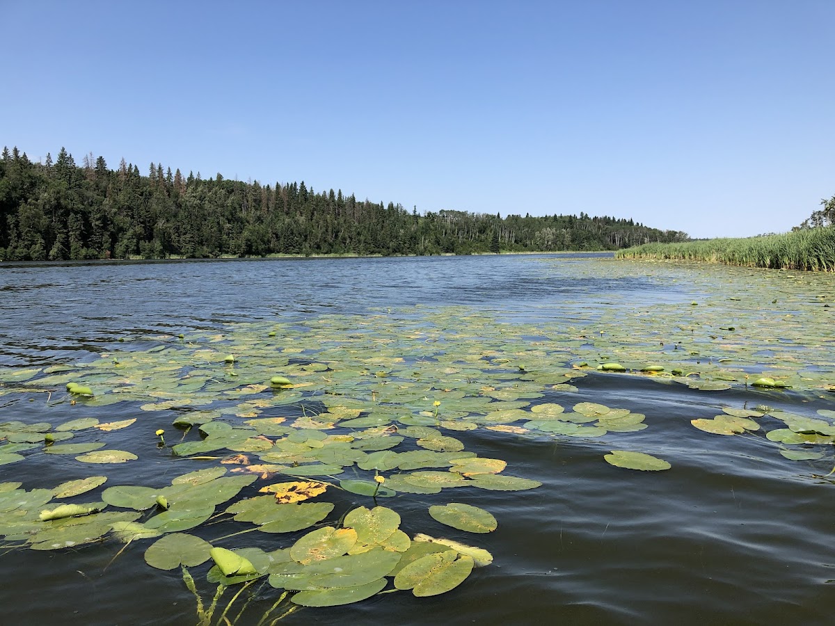 Chain Lakes, Alberta