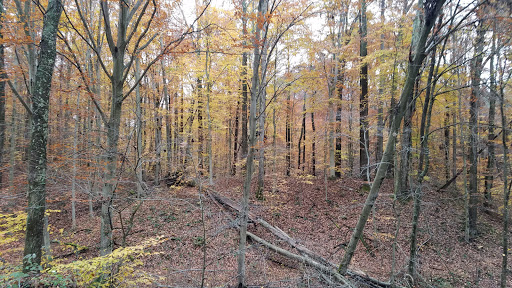 Wayne National Forest - Athens Ranger District - Athens Unit