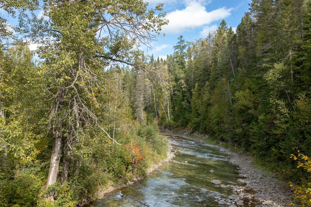 Parc de la Rivière Mitis