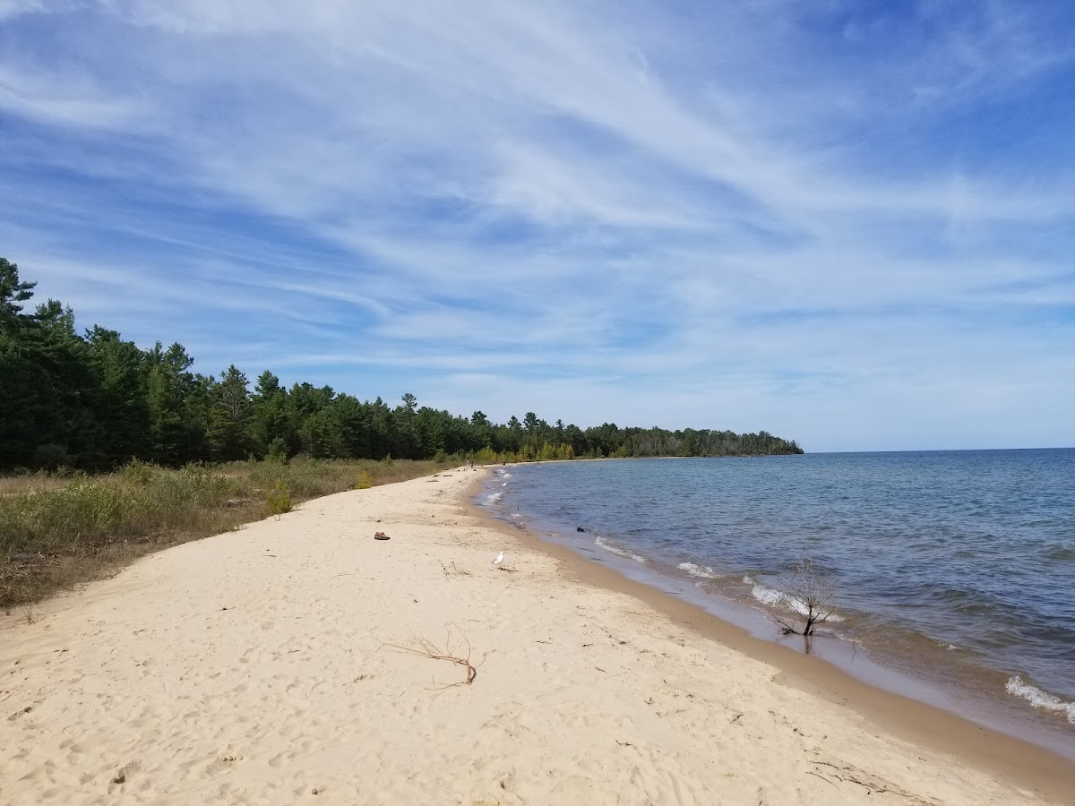 Friends of Negwegon State Park