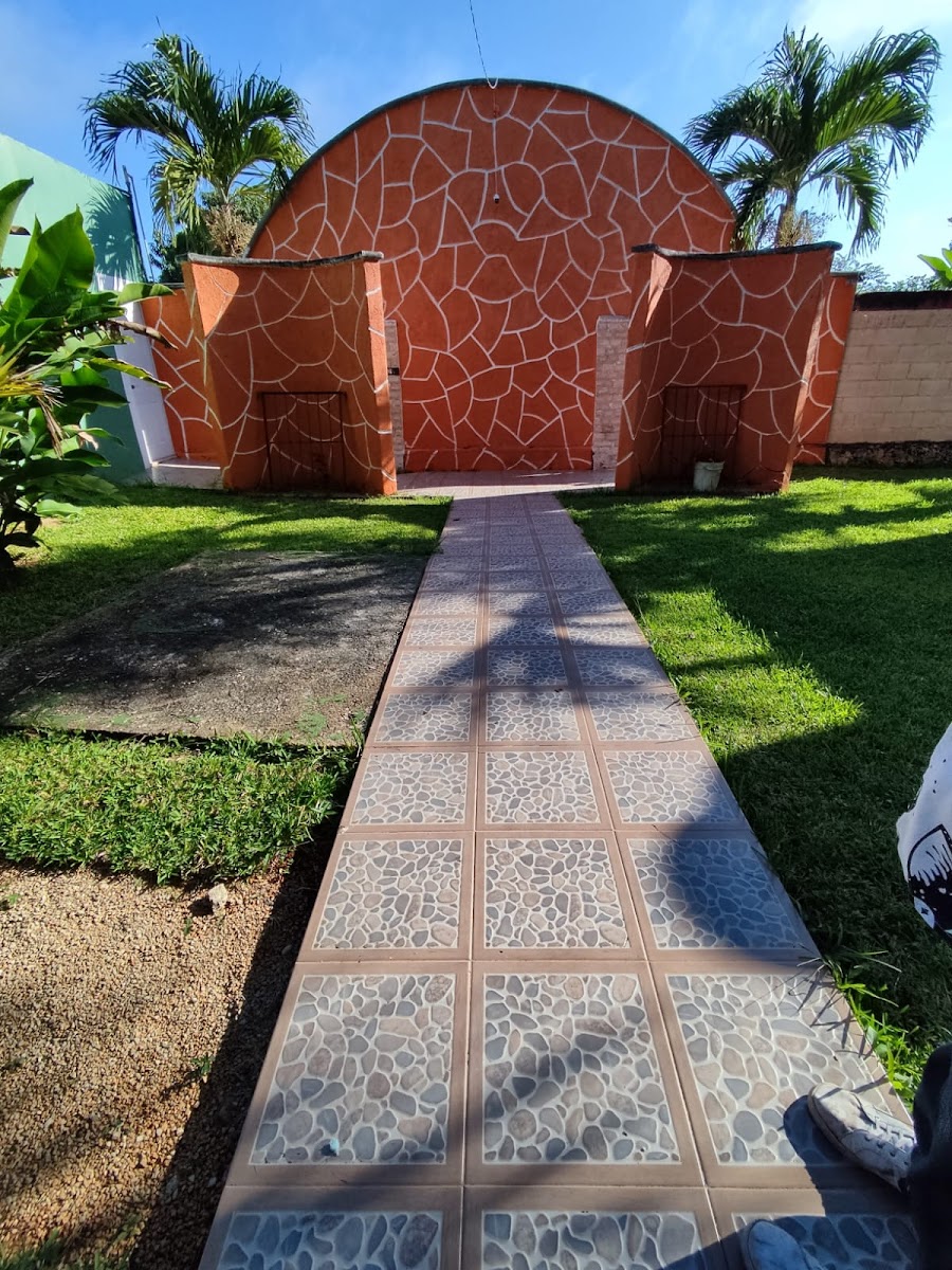 The Toucan Hotel photo 2