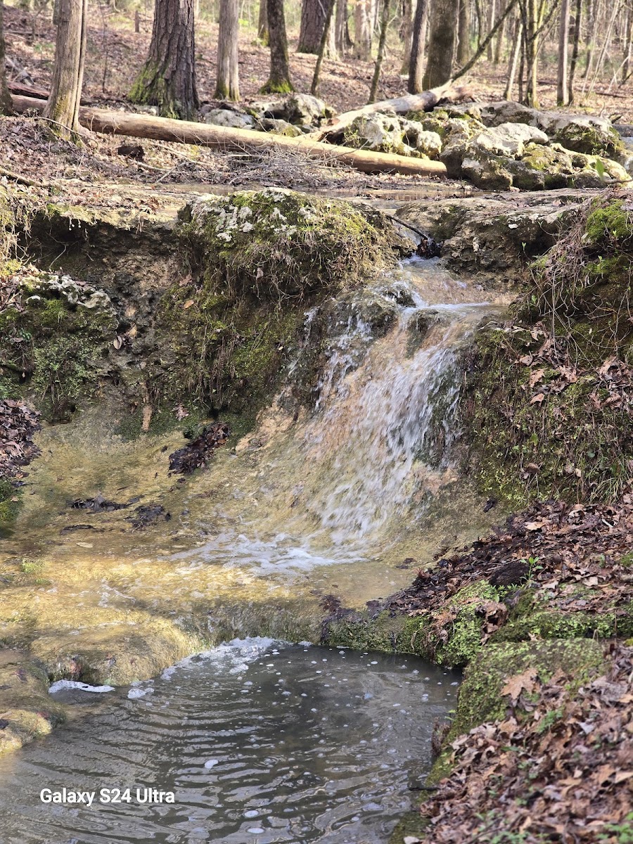 St. Stephens Historical Park