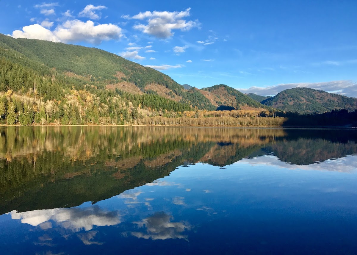 Sasquatch Provincial Park