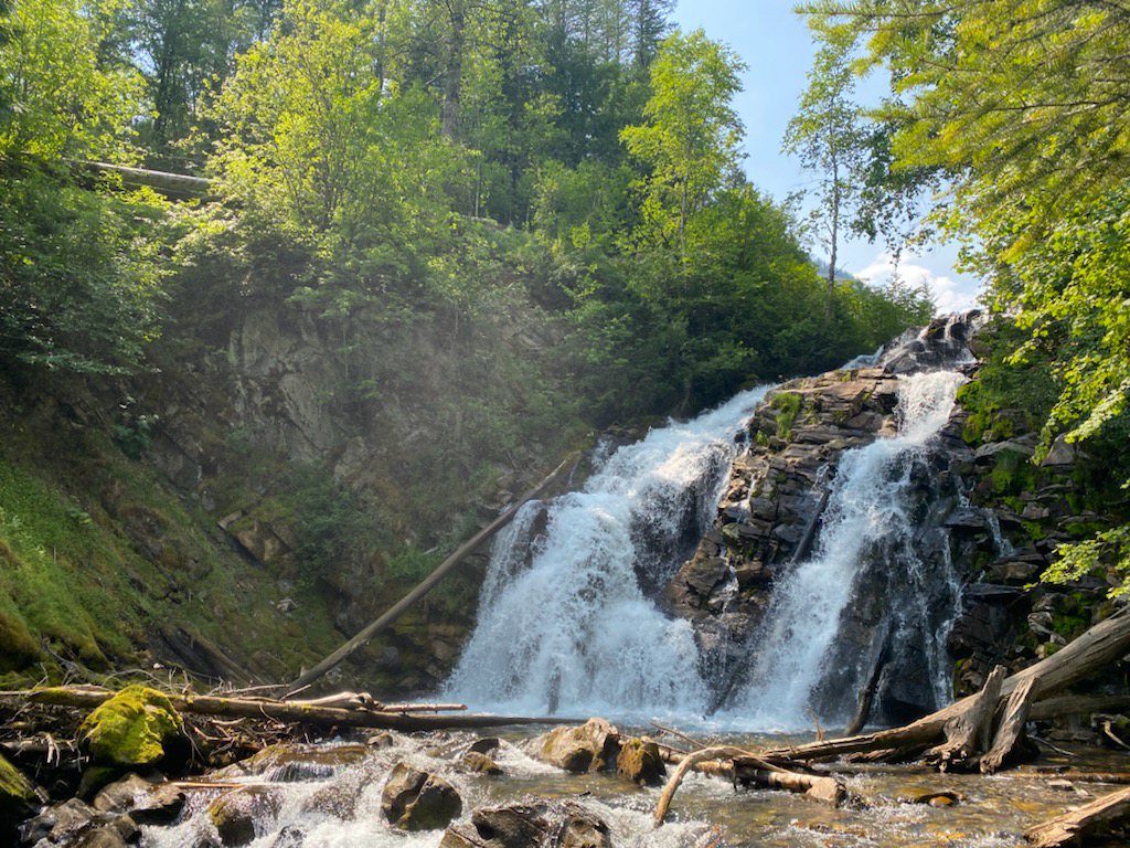 Fairy Creek Falls Trailhead