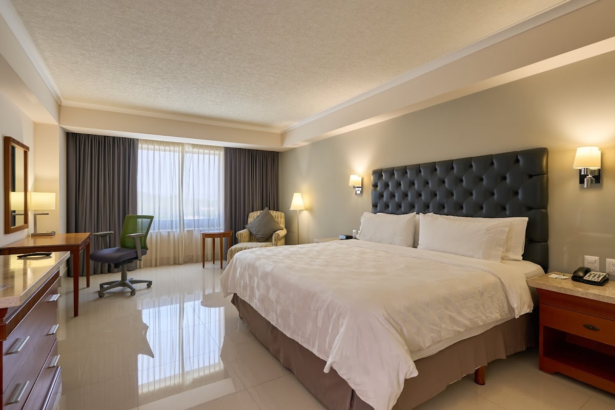 Holiday Inn Tuxtla Gutierrez by IHG photo 2