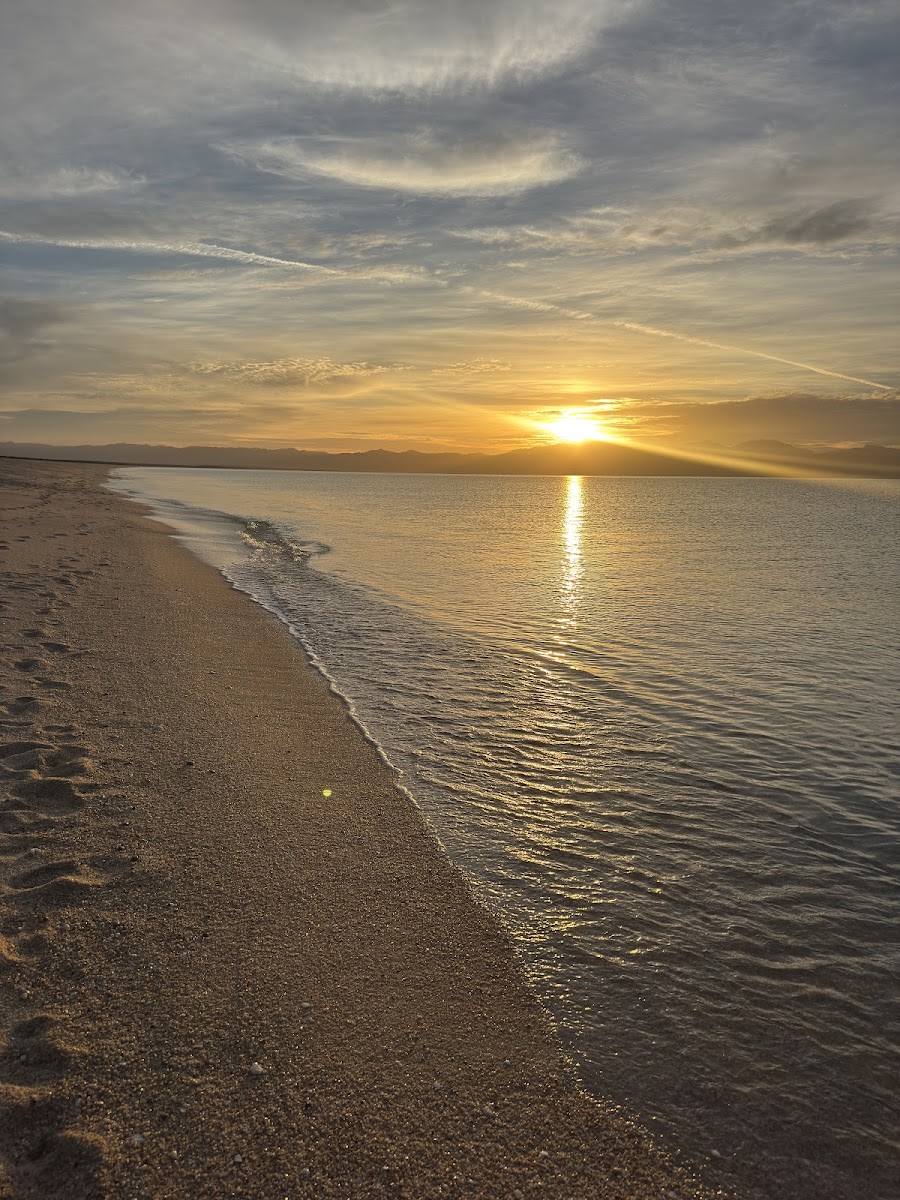 Baja Molinito Experience