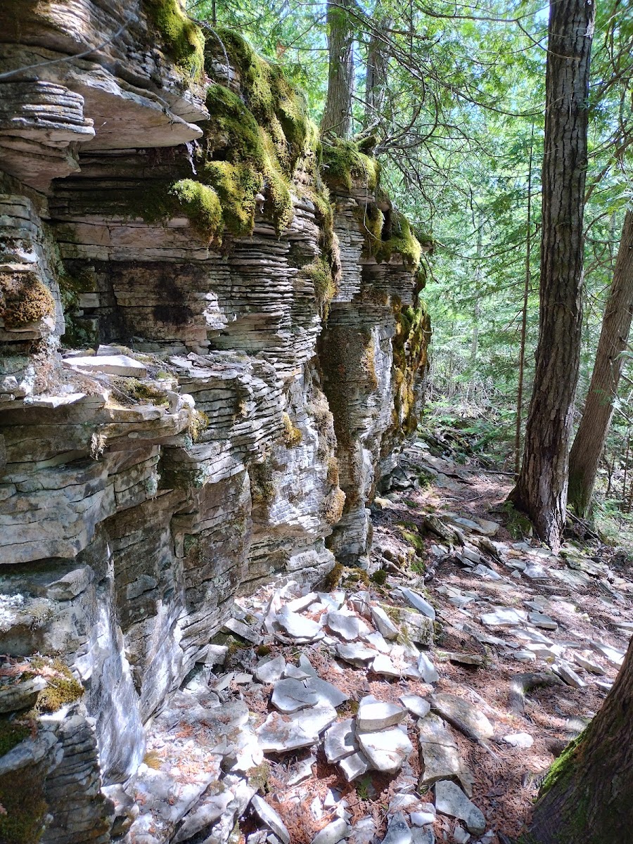 Fossil Hill Nature Preserve