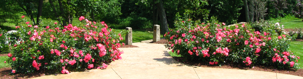 Clary Gardens
