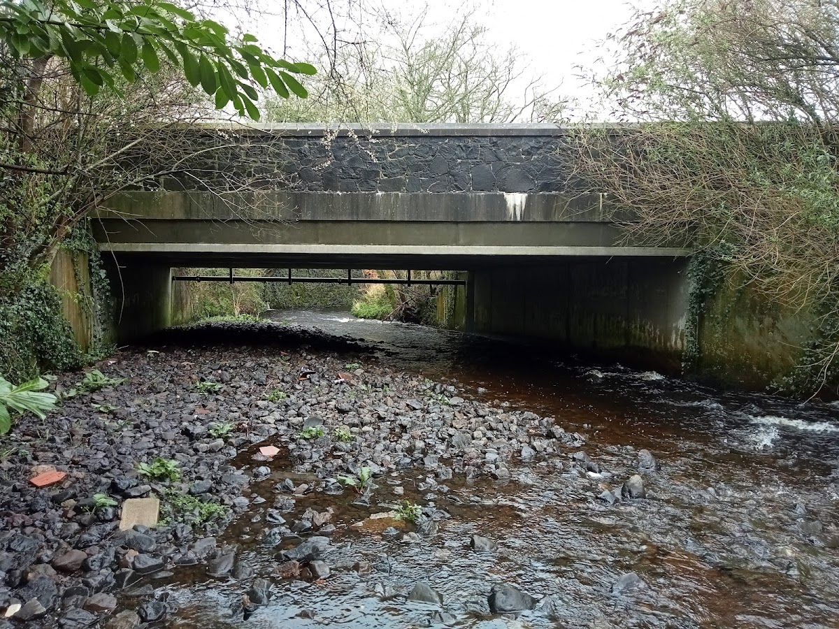 Boyne Bridge