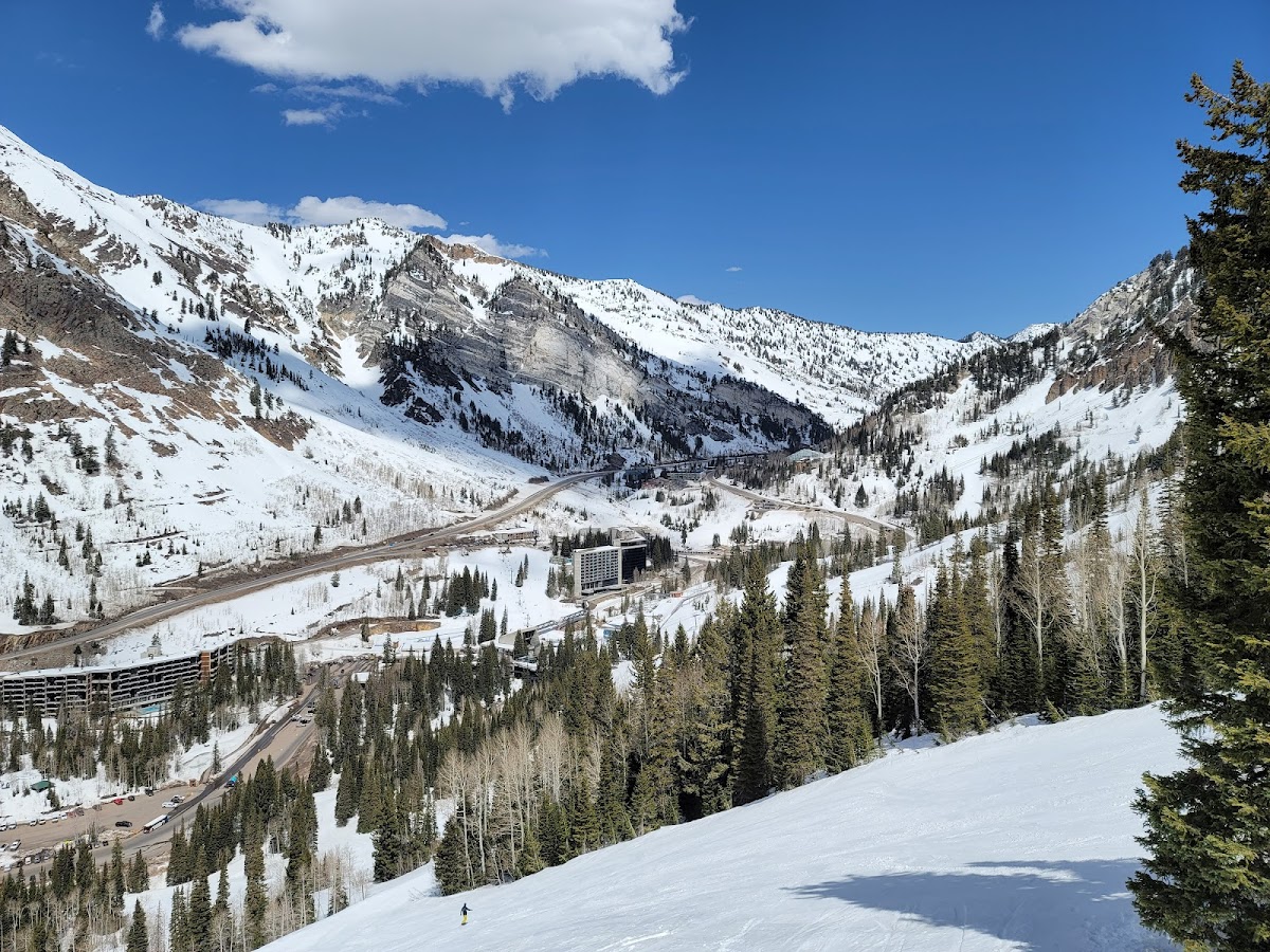 Snowbird Recreation Area photo 2