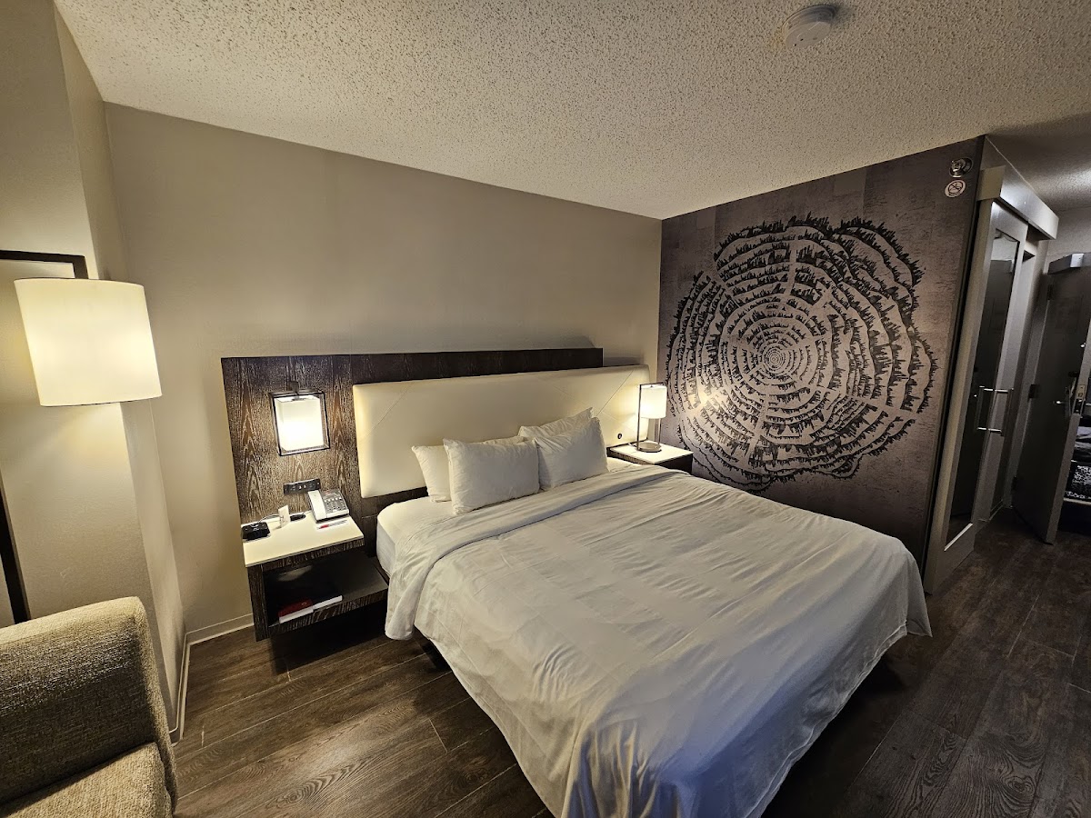 Atlanta Airport Marriott photo 2