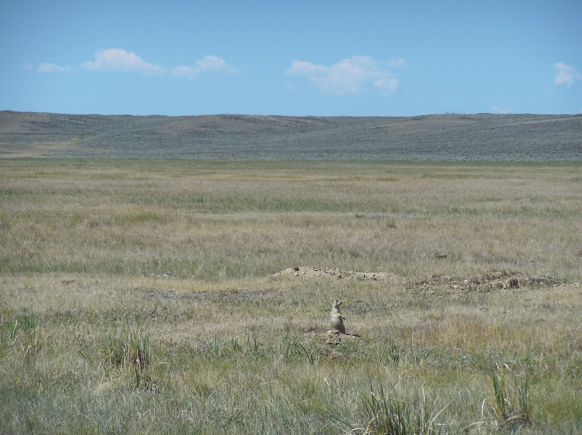 Arapaho National Wildlife Refuge Visitor Center
