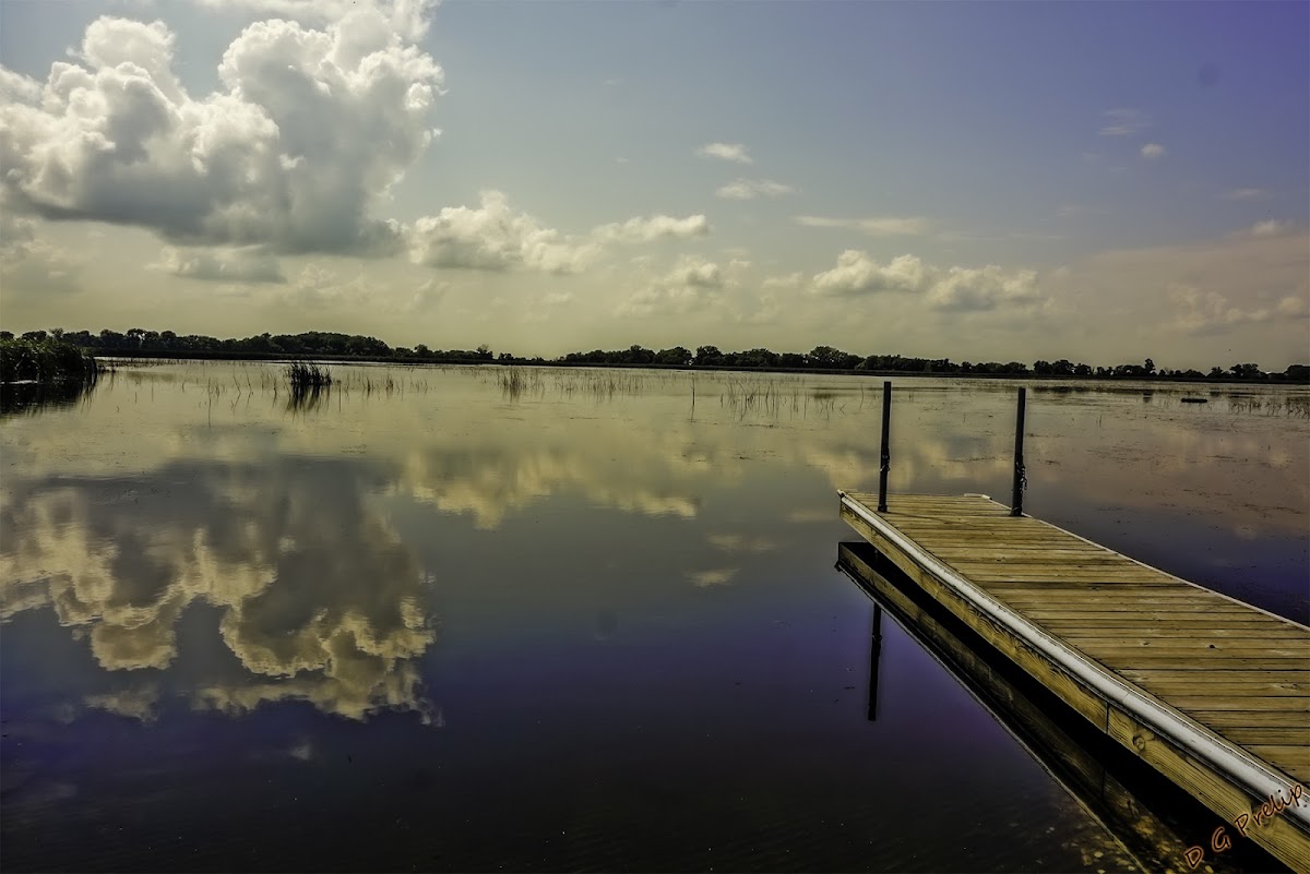 Lizard Lake
