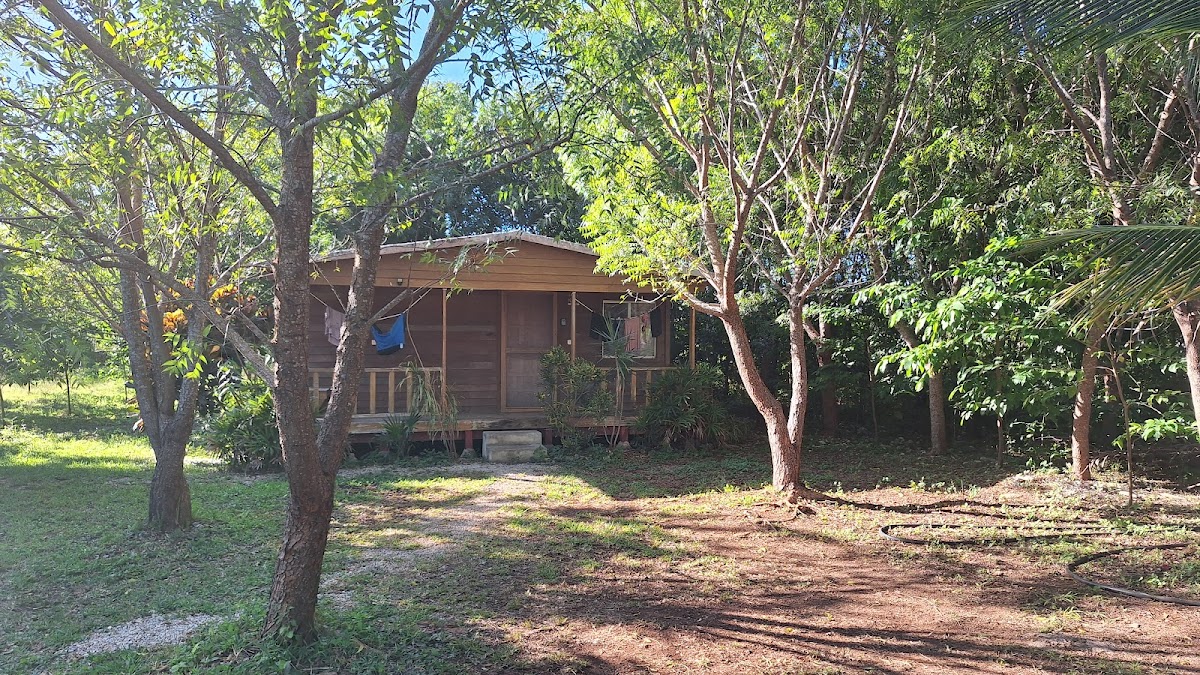 LAS CABAÑAS DE XOCHITL