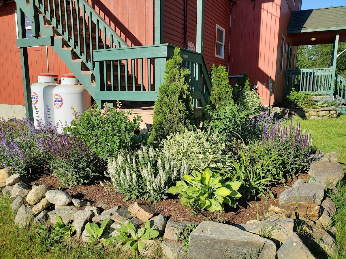 Trailside Lodge photo 3