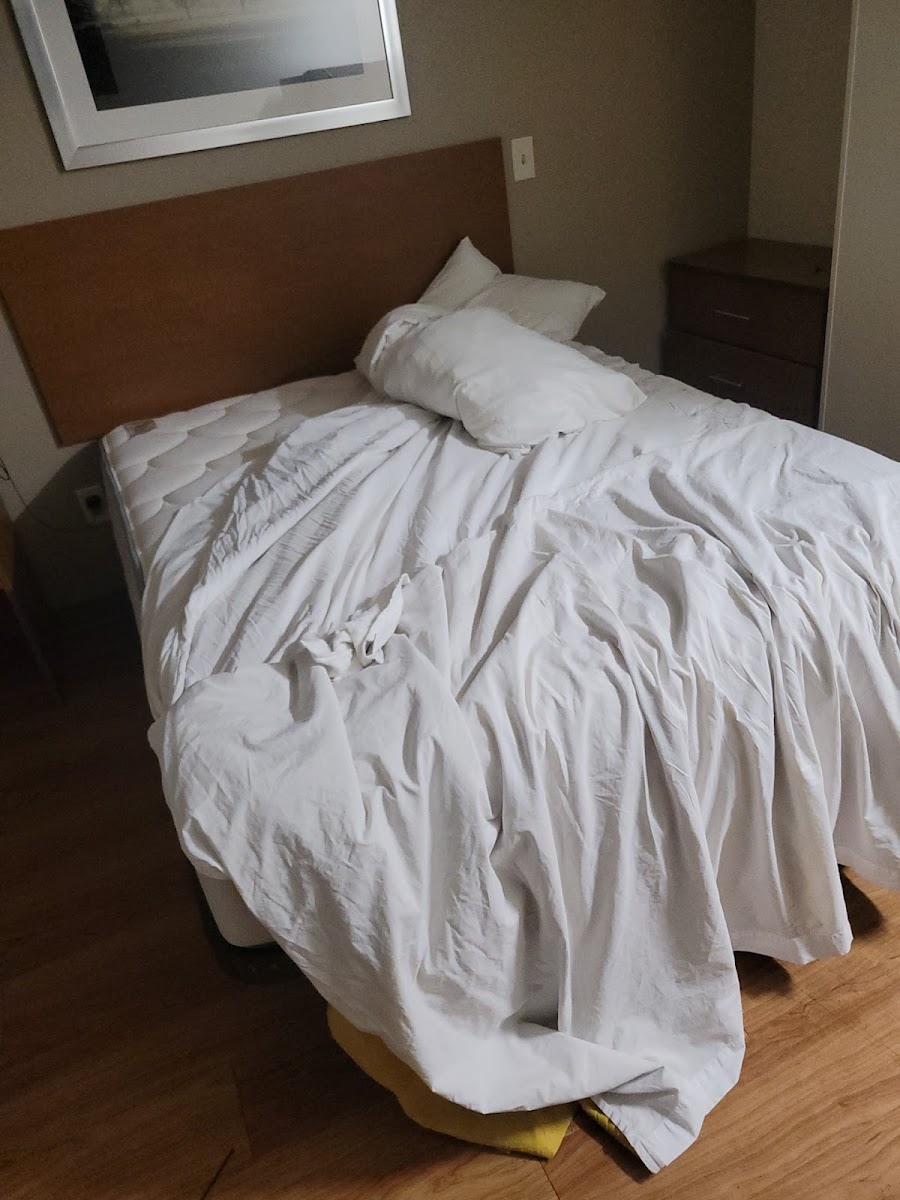Extended Stay Kansas City photo 3