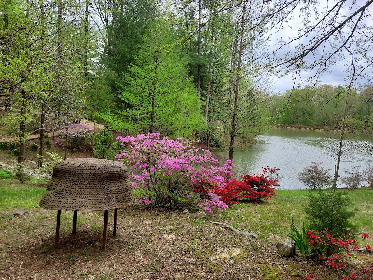 Azalea Path