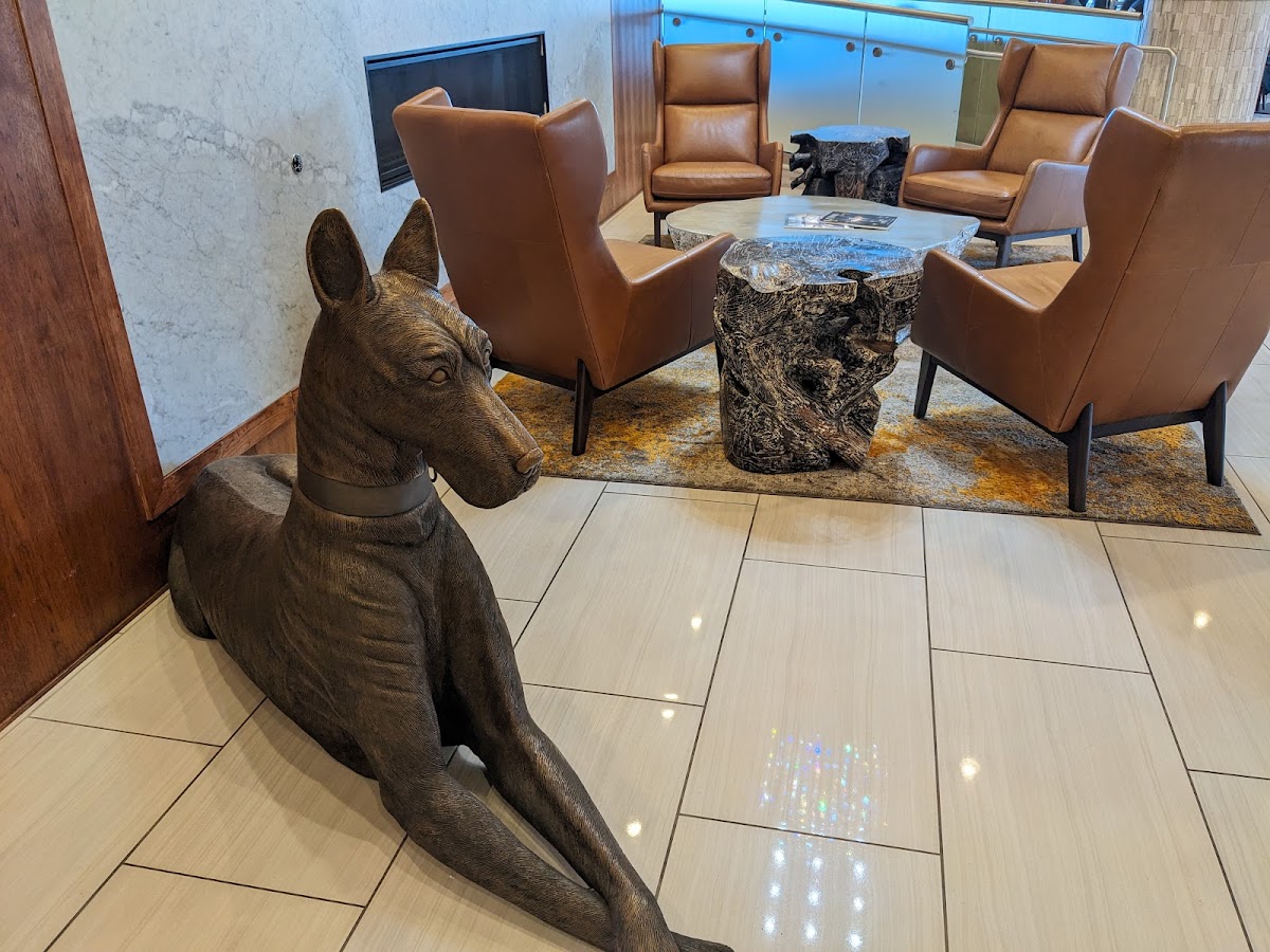 Residence Inn by Marriott Flagstaff photo 3