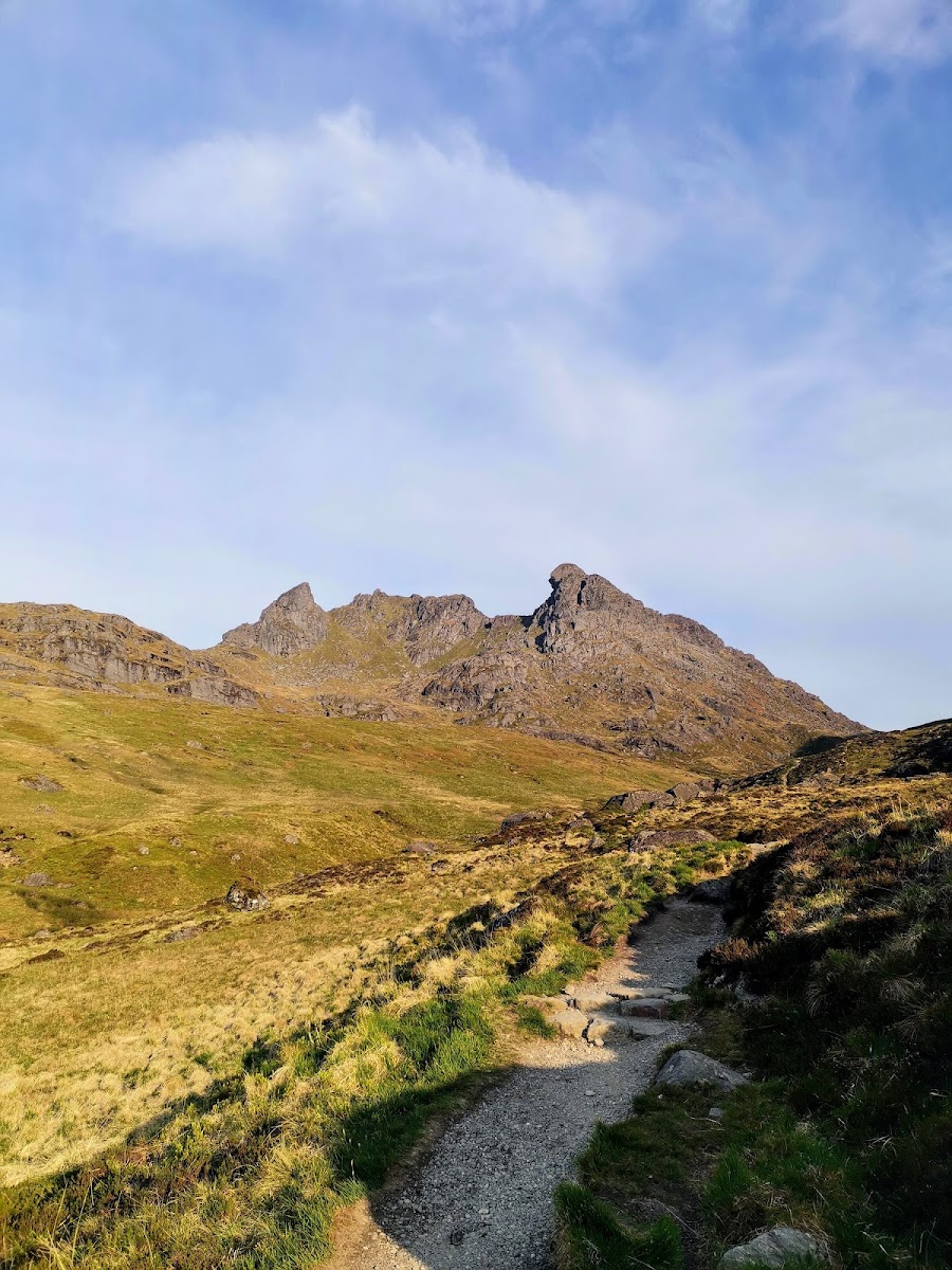 The Cobbler