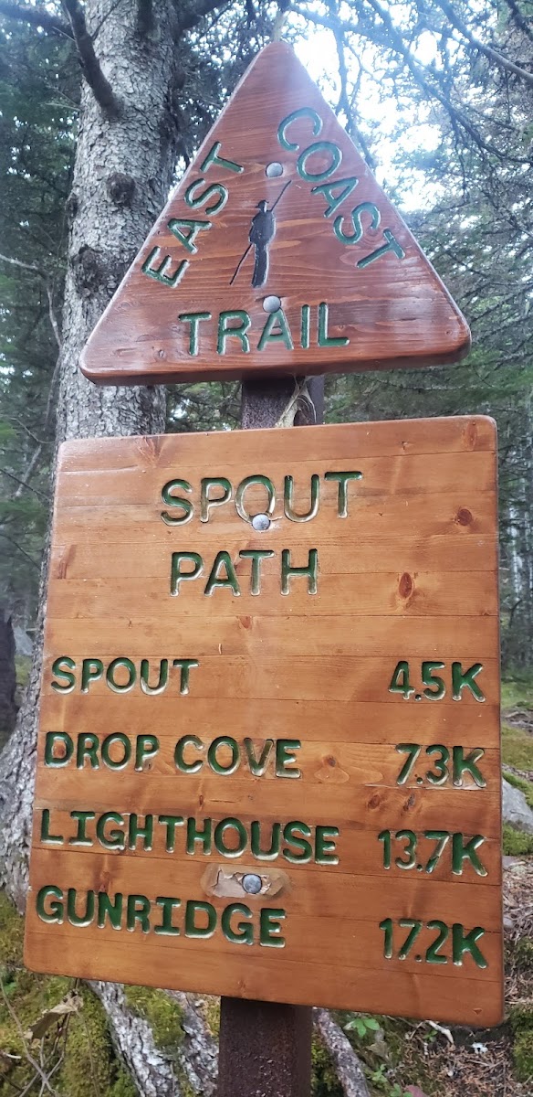 East Coast Trail - Spout Path