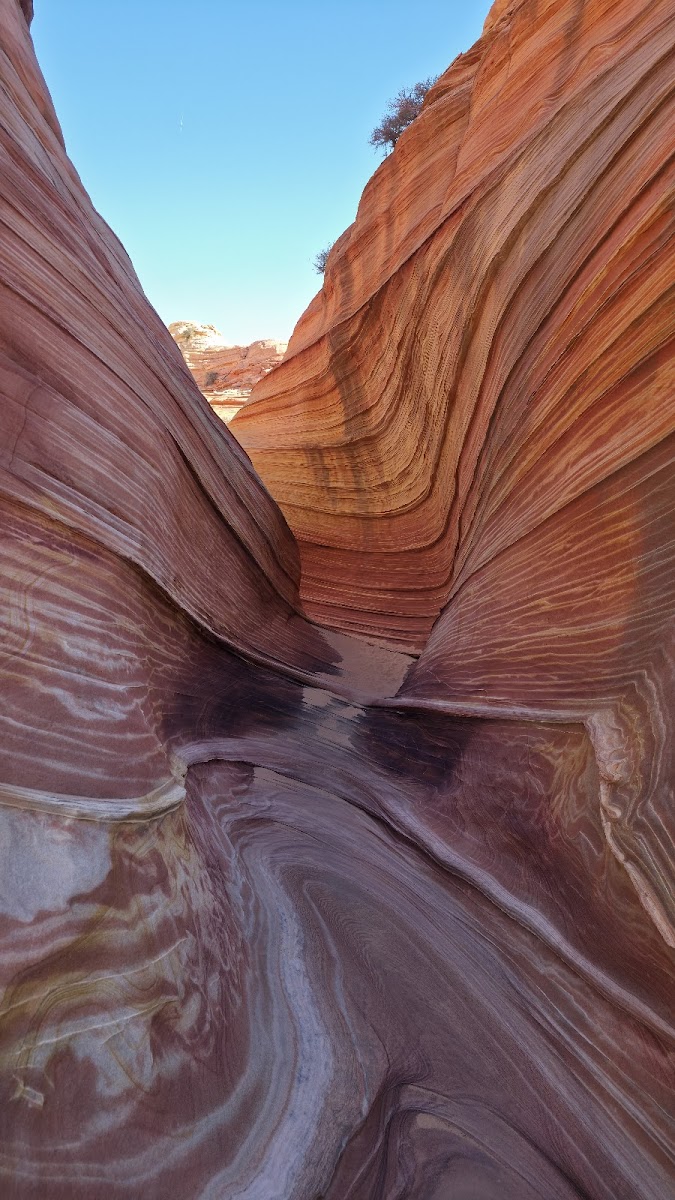 Vermilion Cliffs National Monument