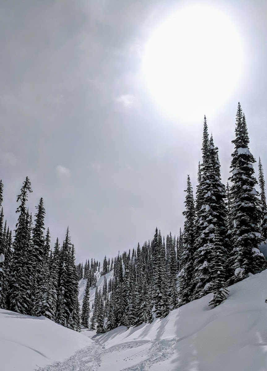 Selkirk Snowcat Skiing Lodge