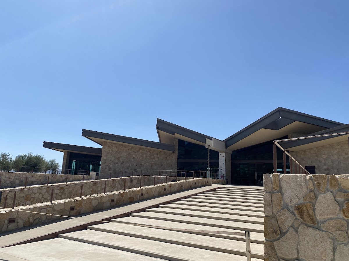 Museum of the Vine and Wine